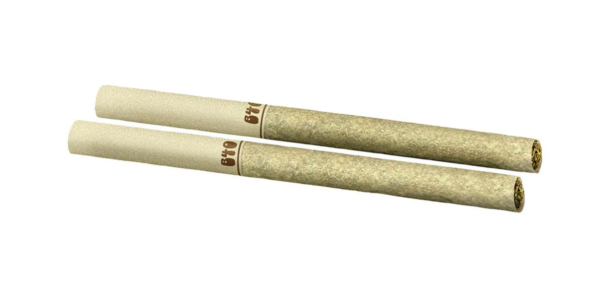 Daytrippers Galactic Jack Pre-Rolls 2 x 1g