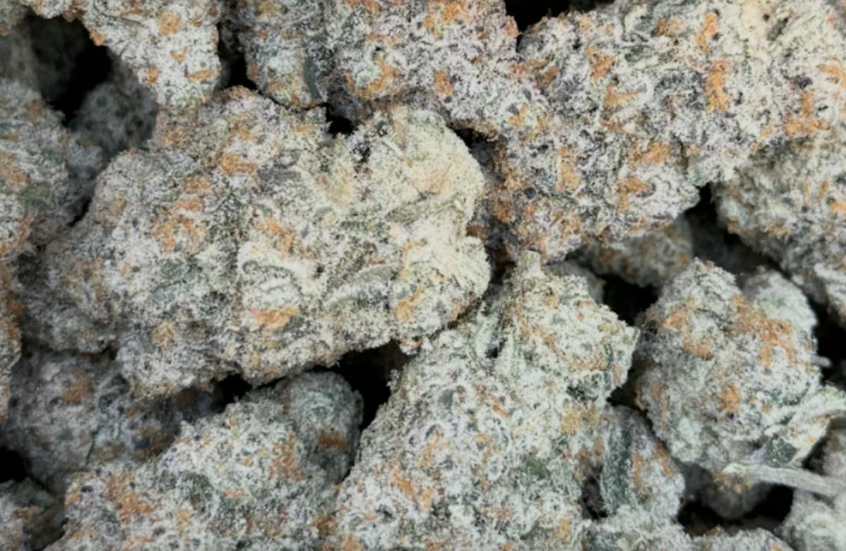 Sticky Cake 3.5g
