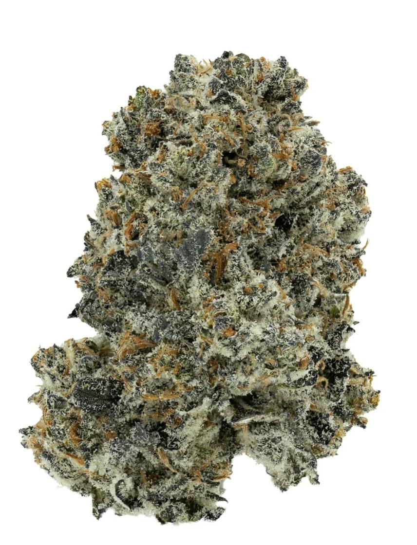 GMO X FPOG 28g
