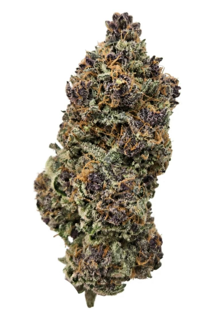 Amalfi Coast 28g