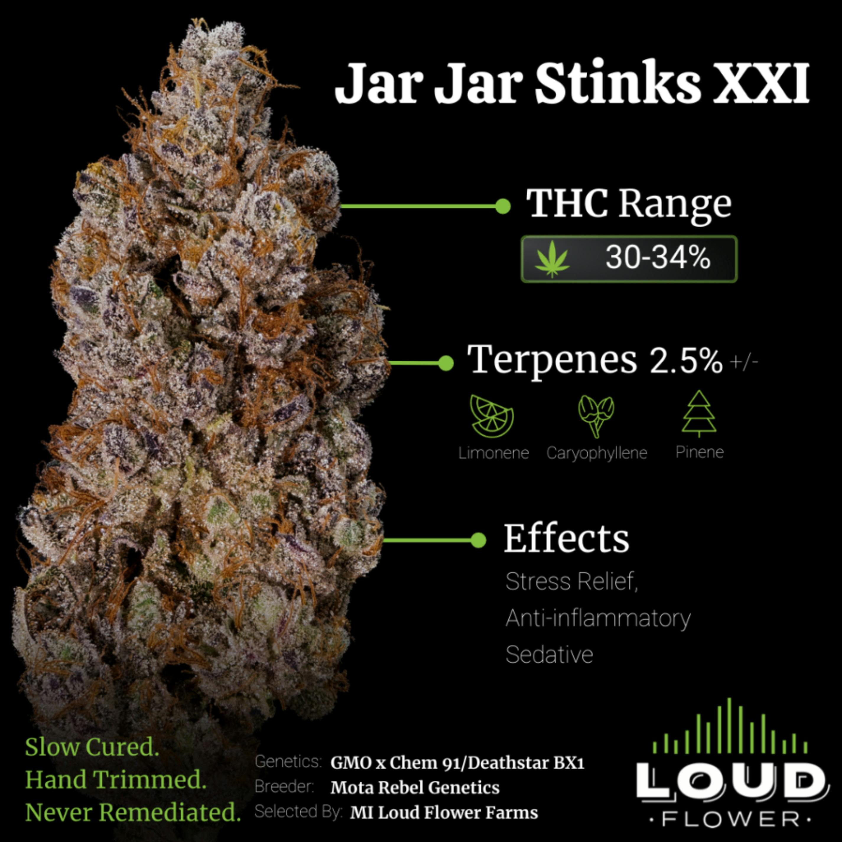 MI LOUD | Buds | Jar Jar Stinks #21
