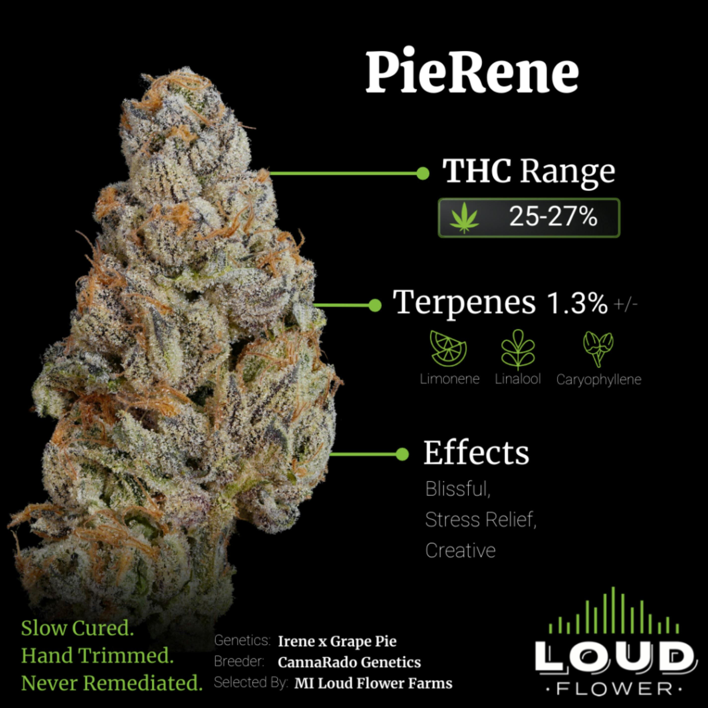 Pierene | Big Buds | 1g