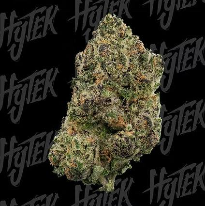HYTEK | Buds | Deep Blue Z