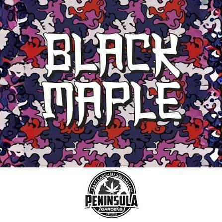 PENINSULA GARDENS | Buds | Black Maple