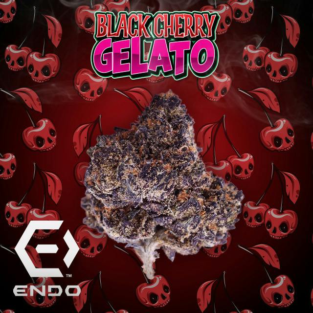 ENDO | Buds | Black Cherry Gelato cannabis product