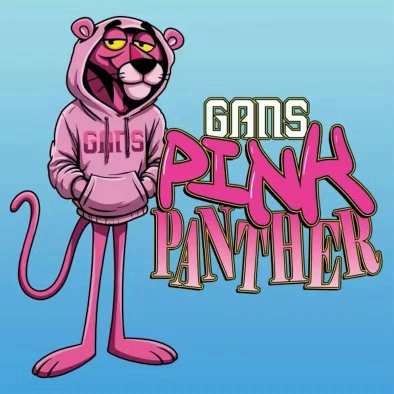 GANS | Buds | Pink Panther