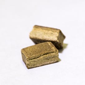 Lemon Pound Cake x Speak Easy