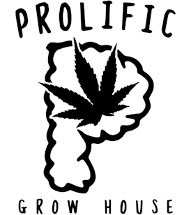 Souffle Runtz Distillate Vape 1g