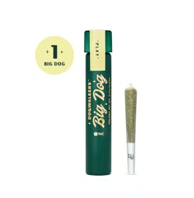 East Coast Sour Diesel Big Dogs - 1g
