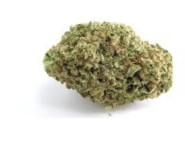 Papaya Purple Punch Flower | 3.5g - Wellman Farm