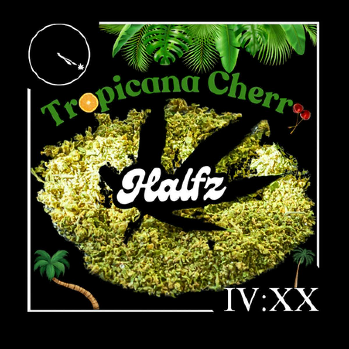Trop Cherry Ground Flower | 14g - Zipz