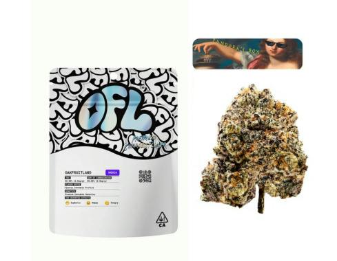 Pandora's Box Premium Flower 7g by Oakfruitland (OFL)