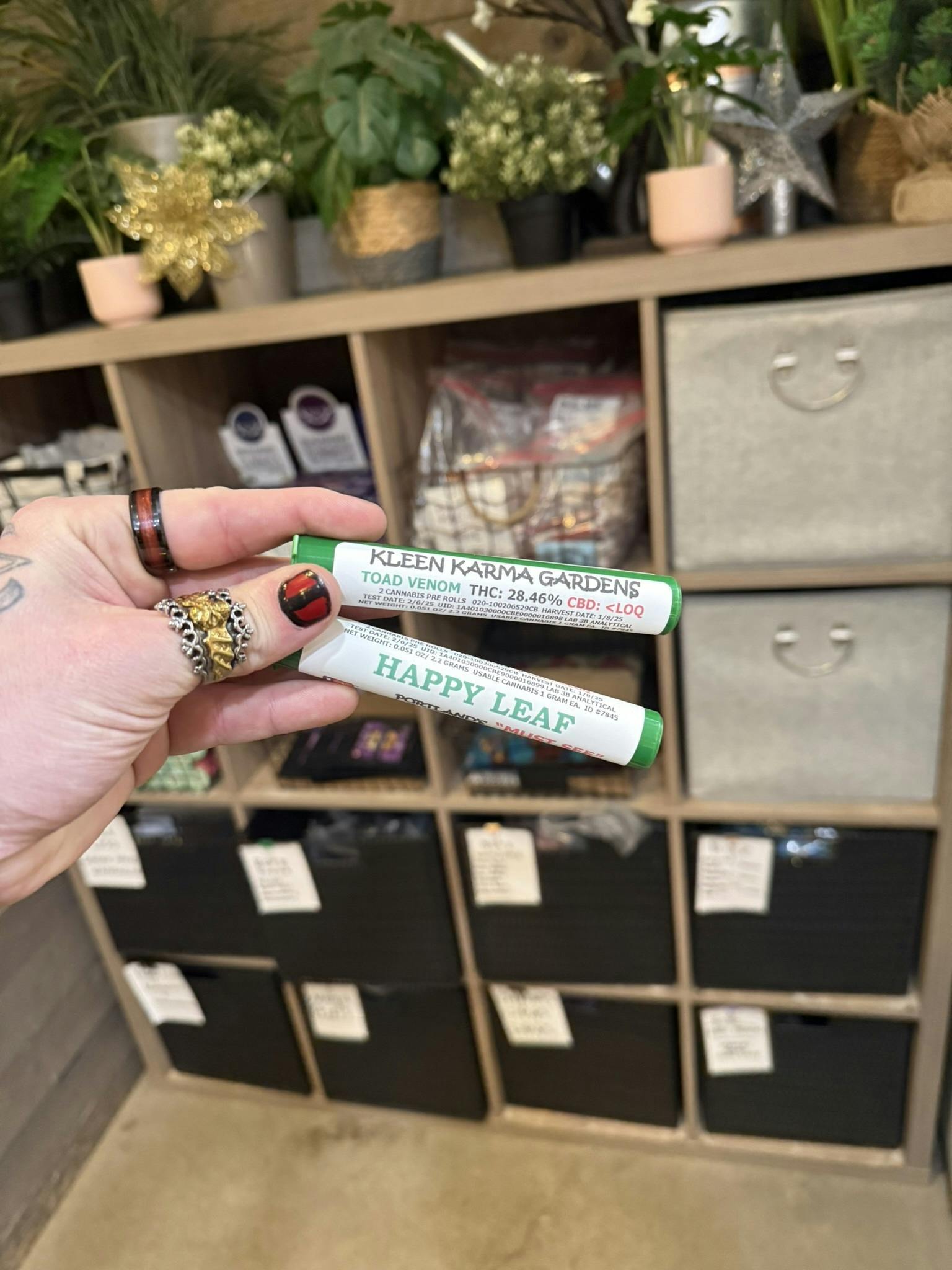 Kleen Karma 2Pk - Apple MAC Gelato