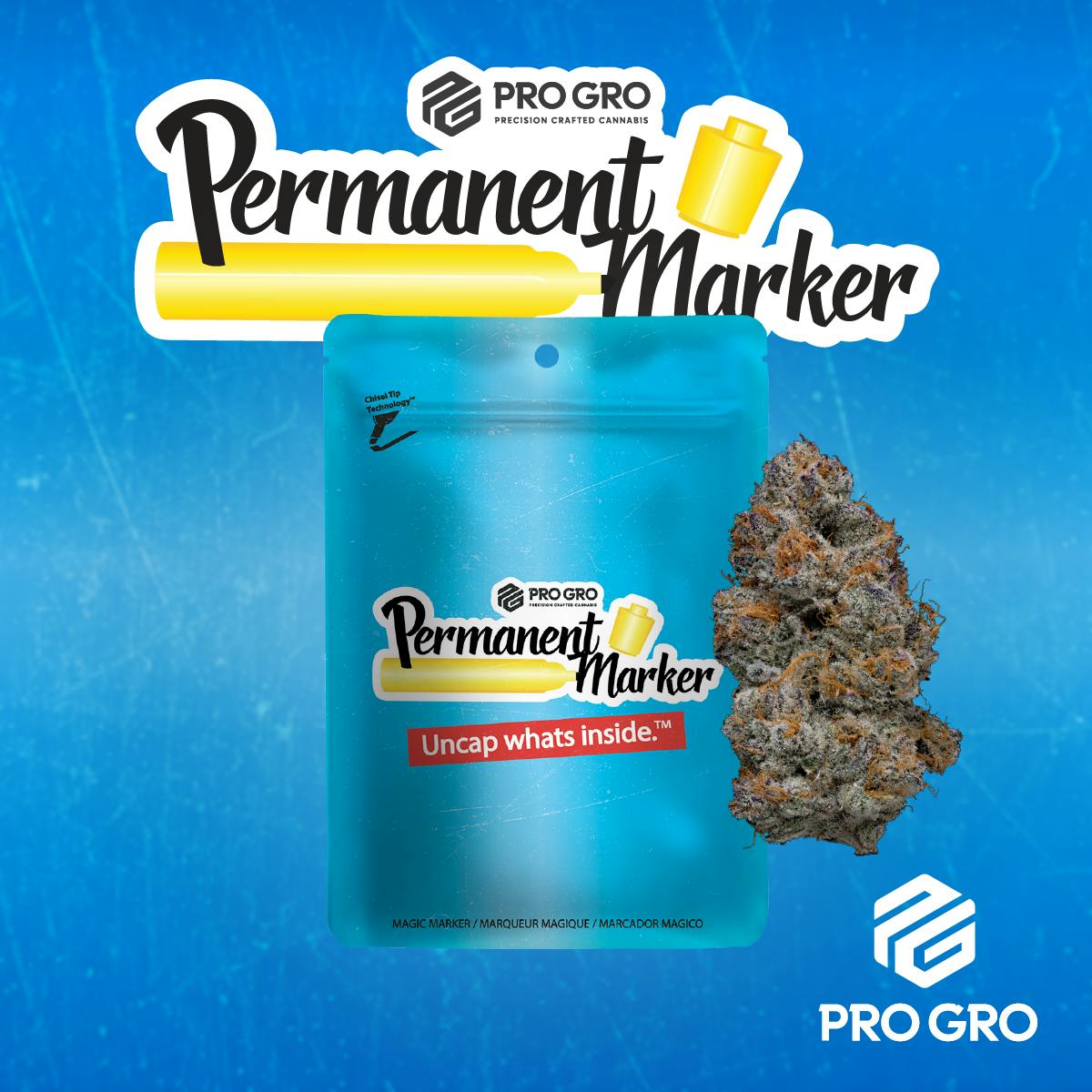 ProGro - Permanent Marker 3.5g