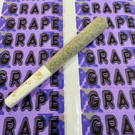 Arctic Cooler 1g Grape Terp Infused Preroll, Indica