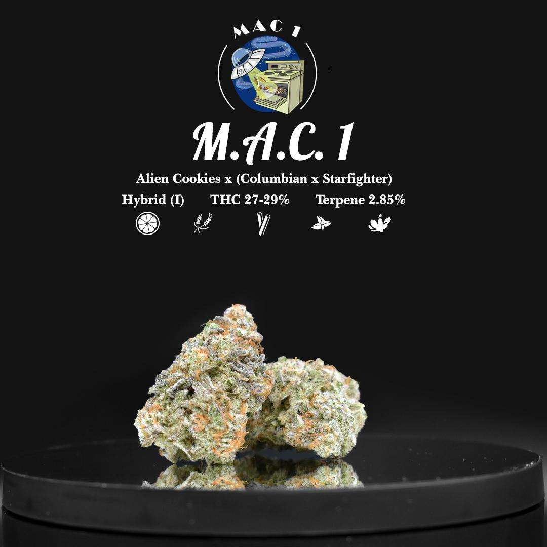 Mac: Gf - V