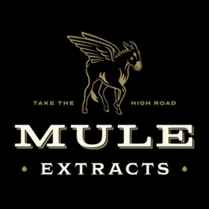 Mule Extracts - Infused Kick Stick 1g - Yoda x Grimace (I)