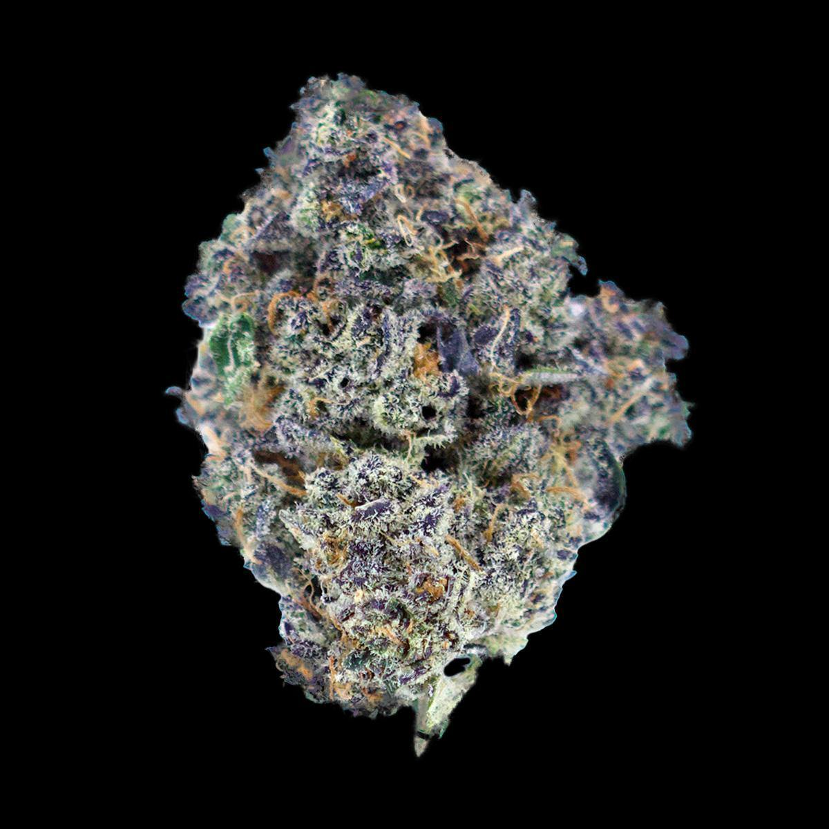 Frosted: Frosted Alien (I)