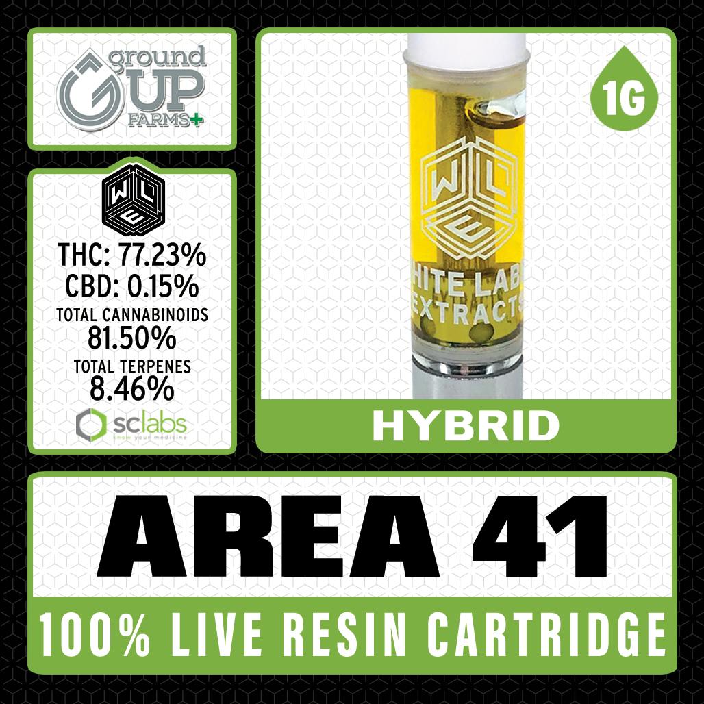WLE: Area 41