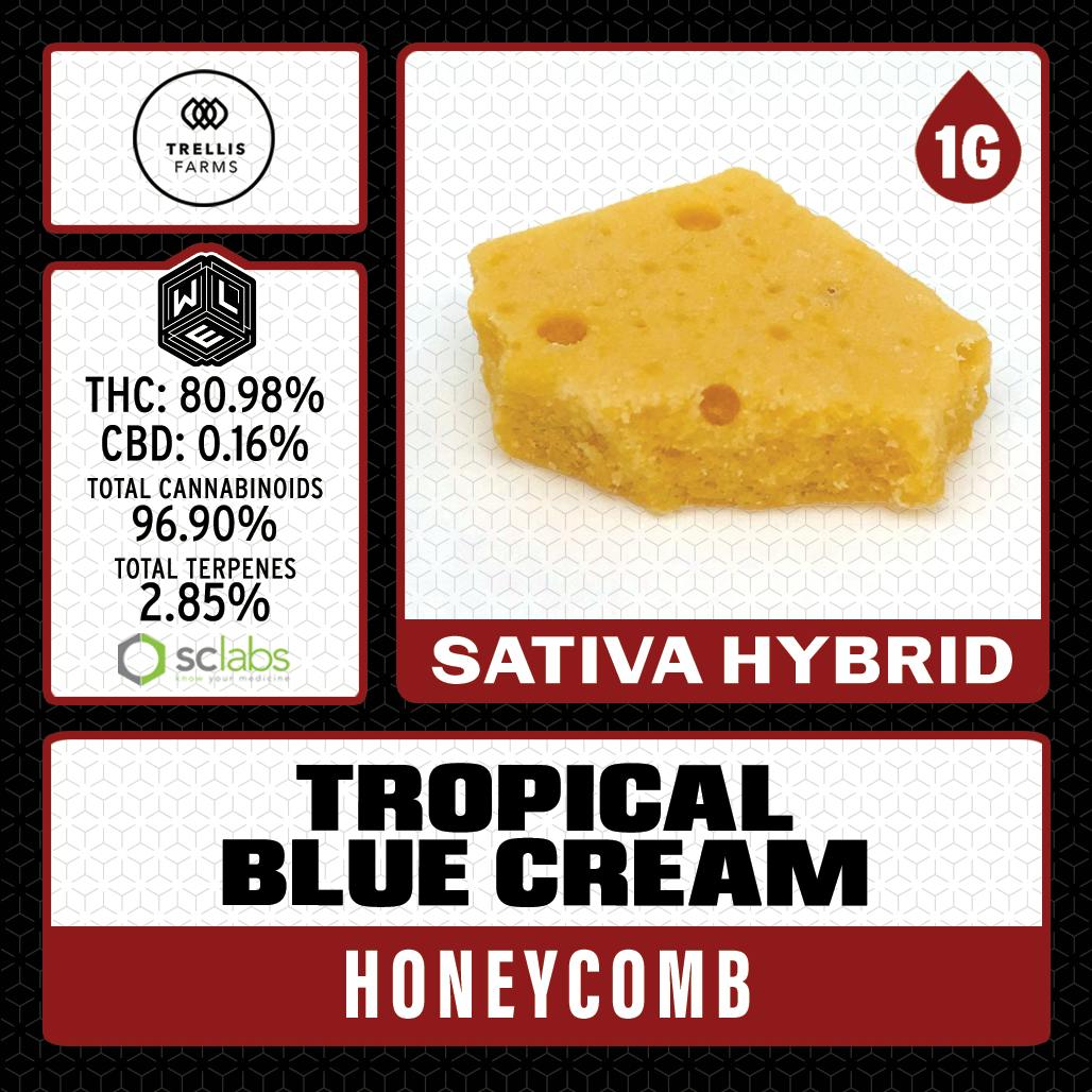 WLE - Tropical Blue Cream (S) - Honeycomb 1g