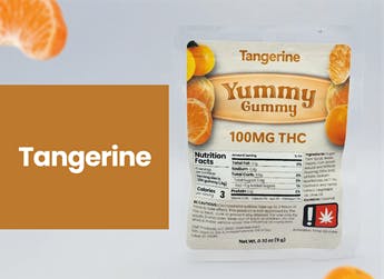 Yummy Gummy: Tangerine - Biomax