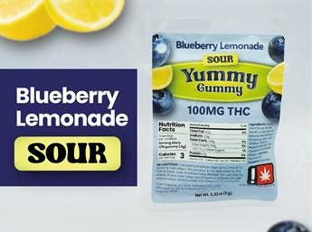 Yummy Gummy: Sour Blueberry Lemaonde - Biomax