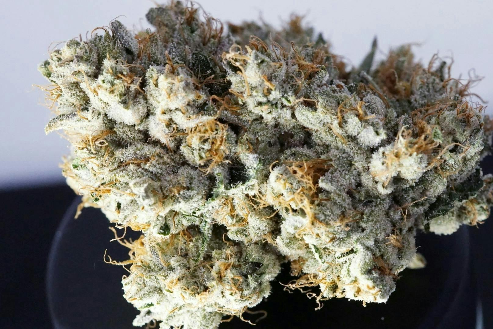 KushCo - FL: Kushco OG