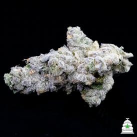 Blueberry Headband - Rocktop Flower
