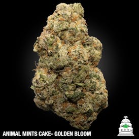Animal Mints Cake - Golden Bloom Flower