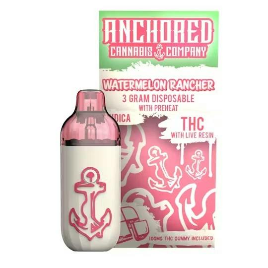 Blueberry Muffin - 3g Anchored Disposable