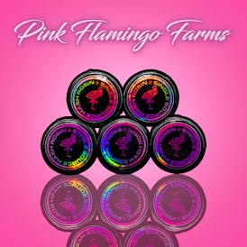 Dark Rainbow - 1g Pink Flamingo Live Rosin
