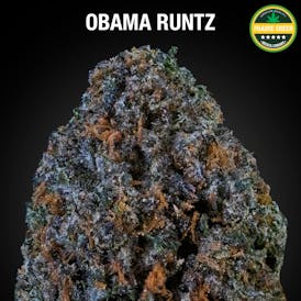 Obama Runtz - NBN Flower