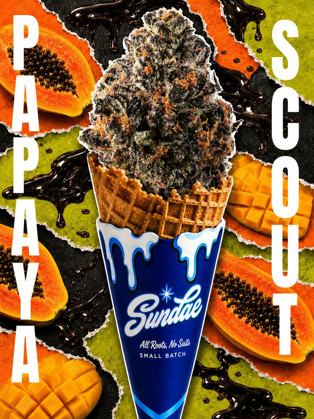 Sundae Co. Papaya Scout (H) Flower