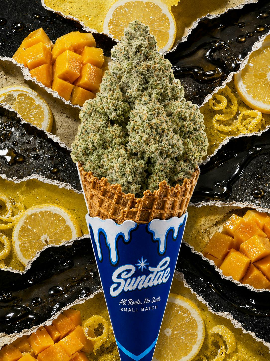 Sundae Co. Sour San Souci (H) Flower