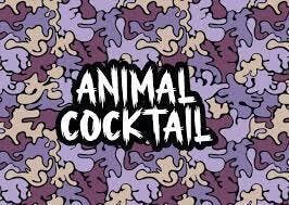 Deli Flower | Animal Cocktail