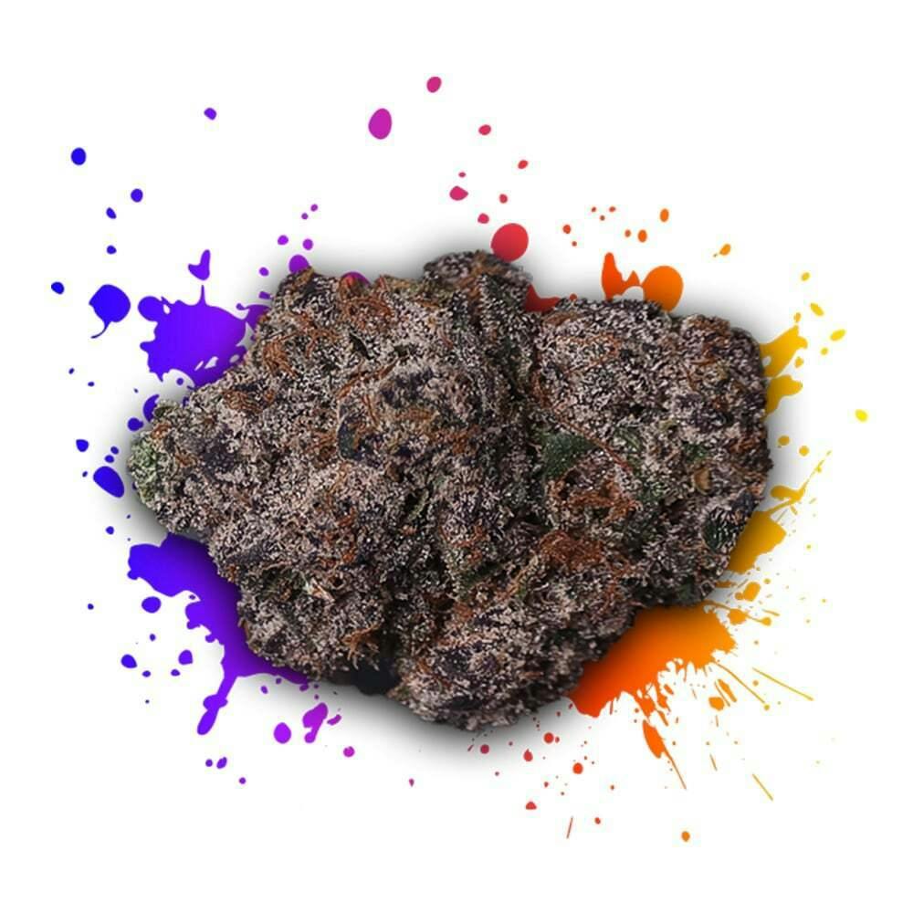 Mt. Gelato