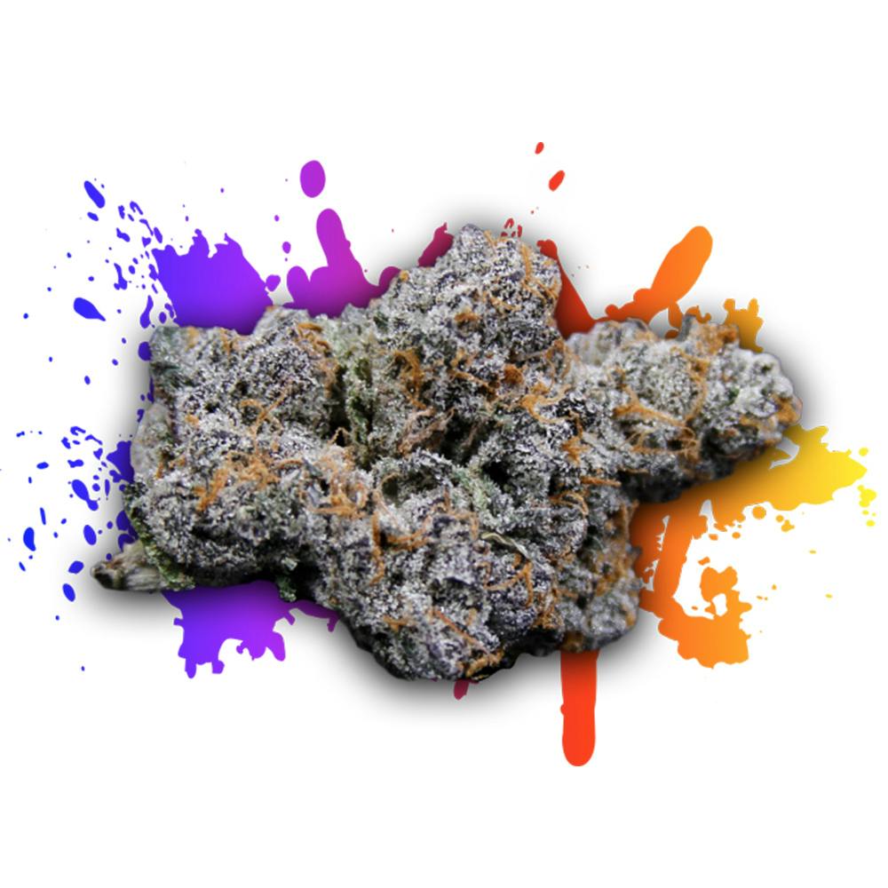 Legend 41 | Legendary Laboratories