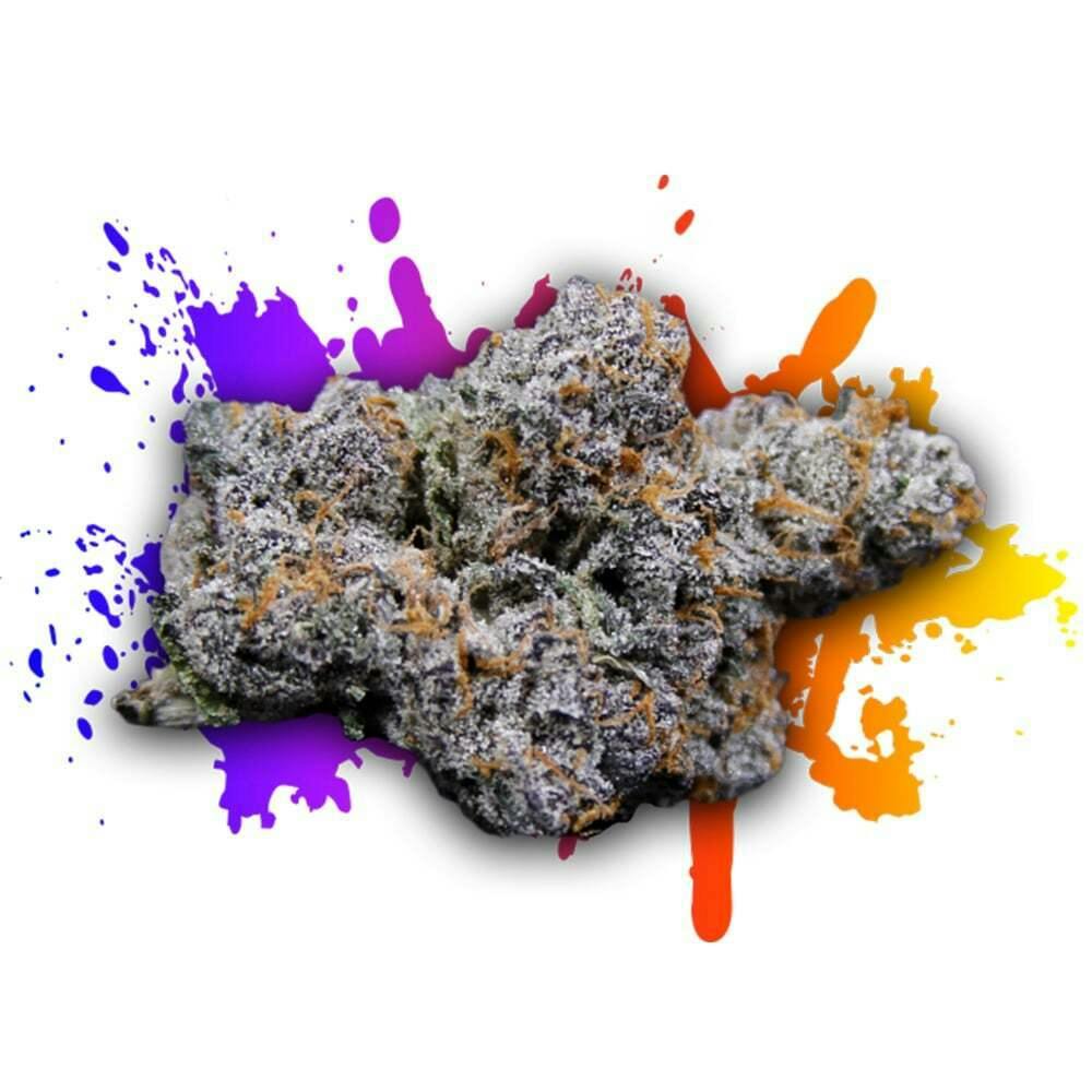 Legend 41 | Legendary Laboratories