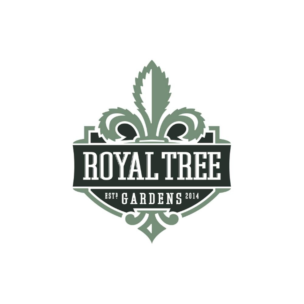 Wedding Pie [1g] | Royal Tree Gardens - Pre Roll