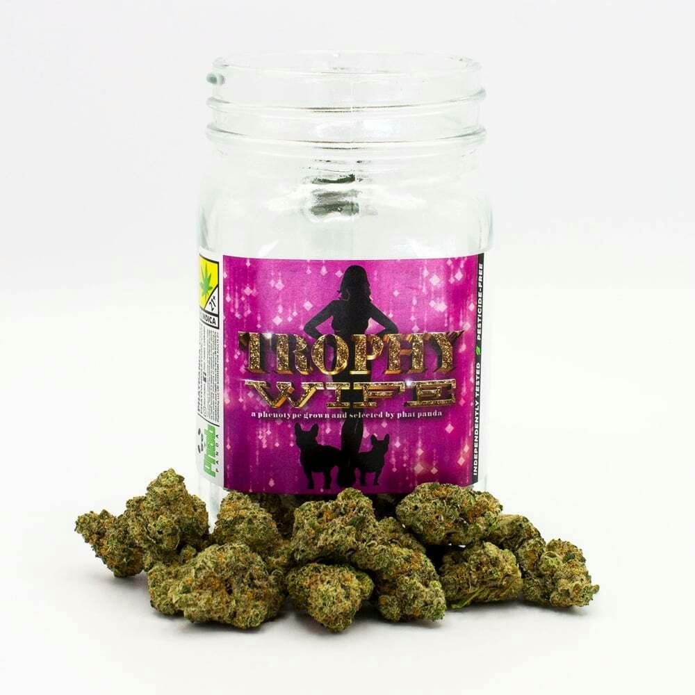 Trophy Wife | Phat Panda - Platinum Flower