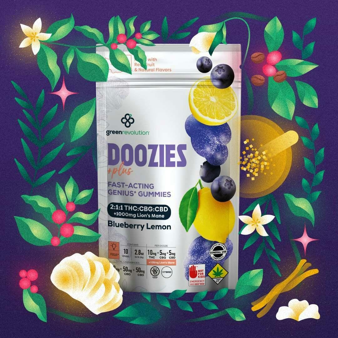 2:1:1 Blueberry Lemon [10pk] (100mg THC/50mg CBG/50mg CBD/1000mg Lion's Mane) | Green Revolution ...