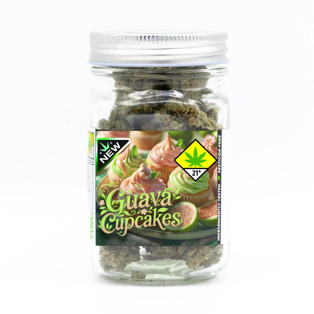 Guava Cupcakes | Big Buds | 3.5g by Phat Panda