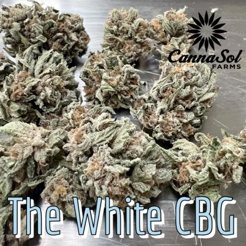 CBG The White | Cannasol - Flower