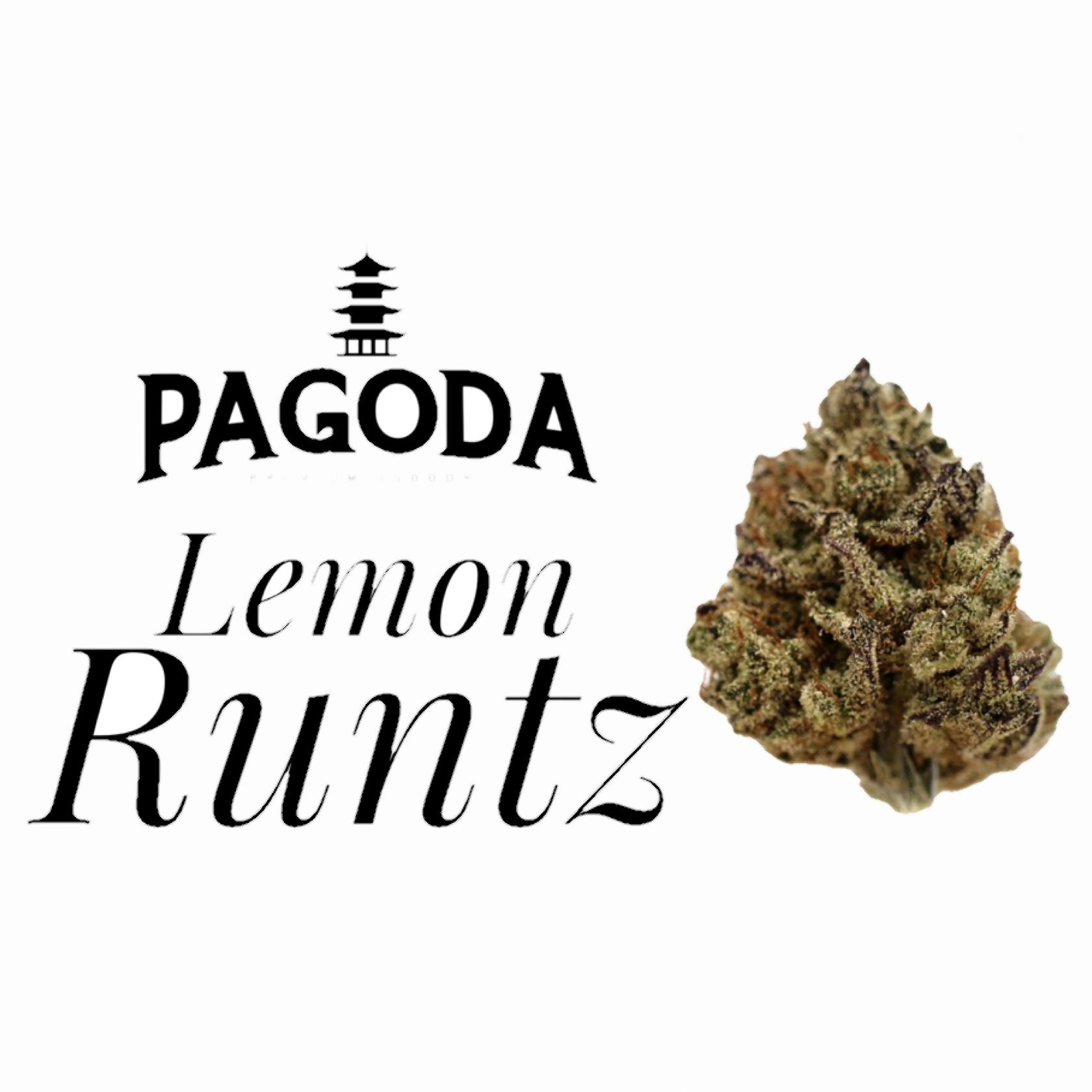 Lemon Gary Runtz at A Greener Today Marijuana - Shoreline