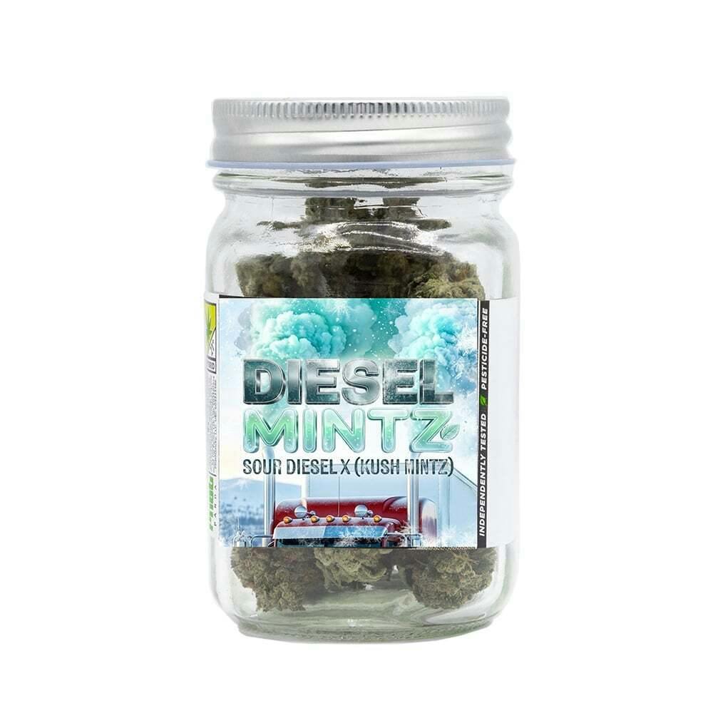 Diesel Mintz