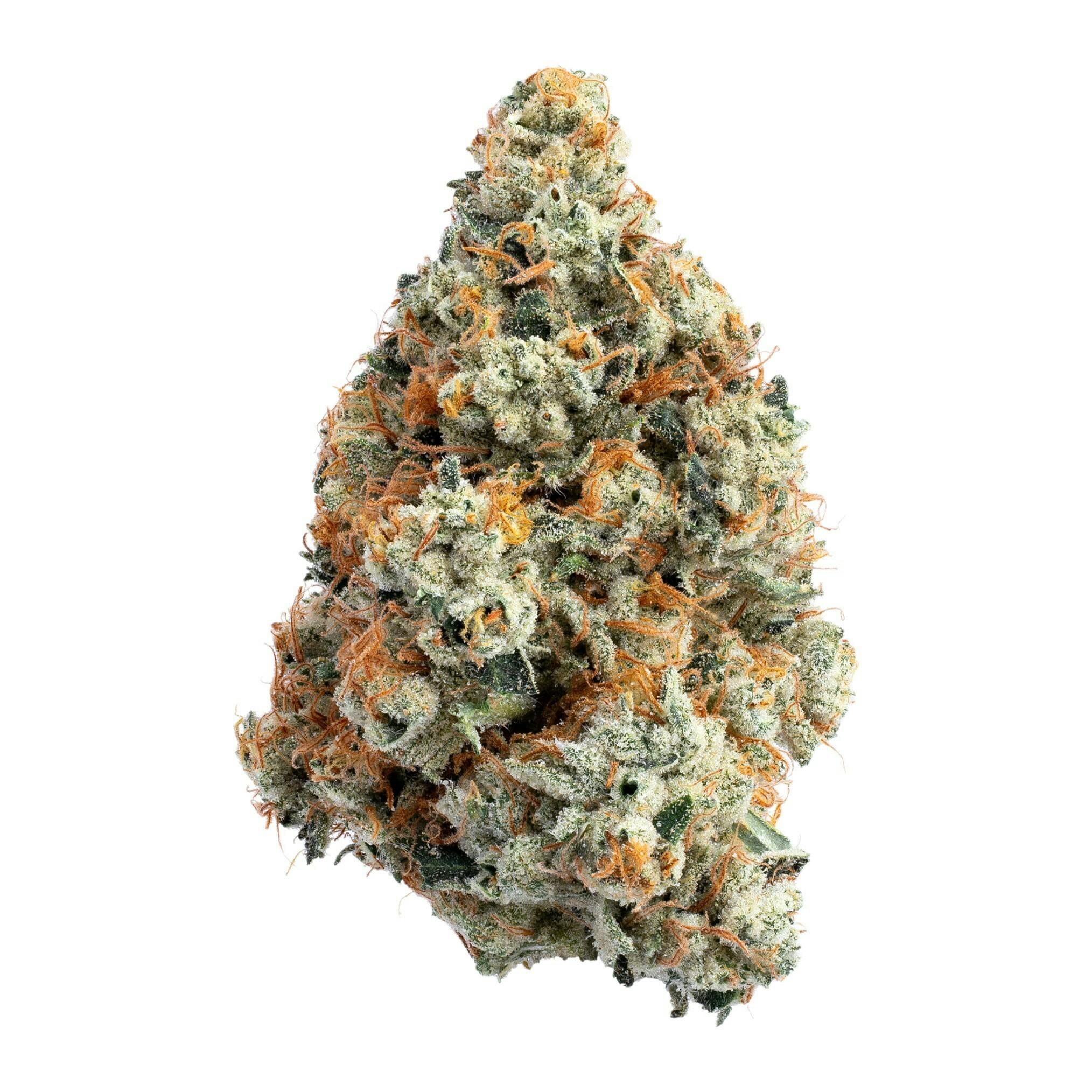 Motor Breath Flower