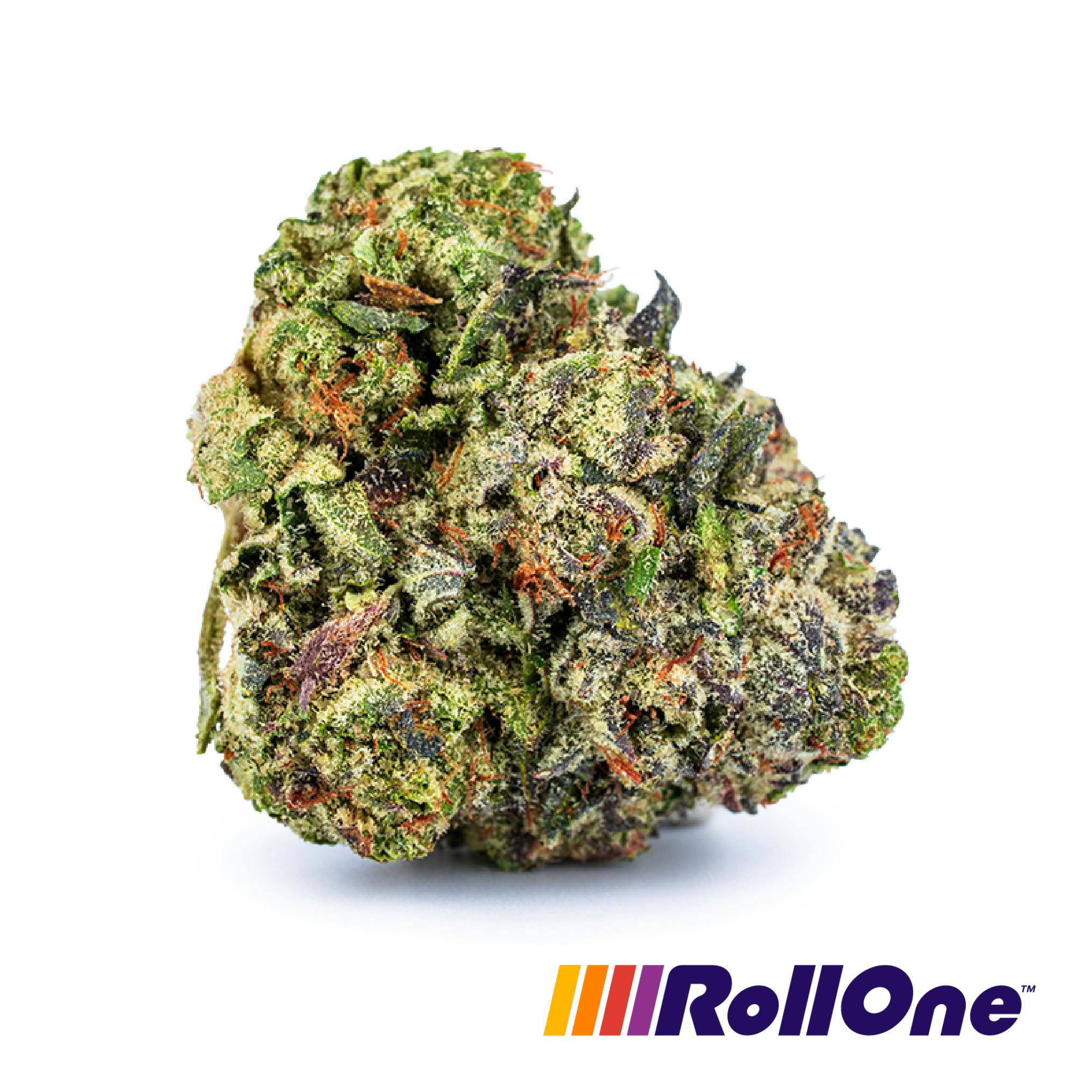 Jet Fuel GMO Flower