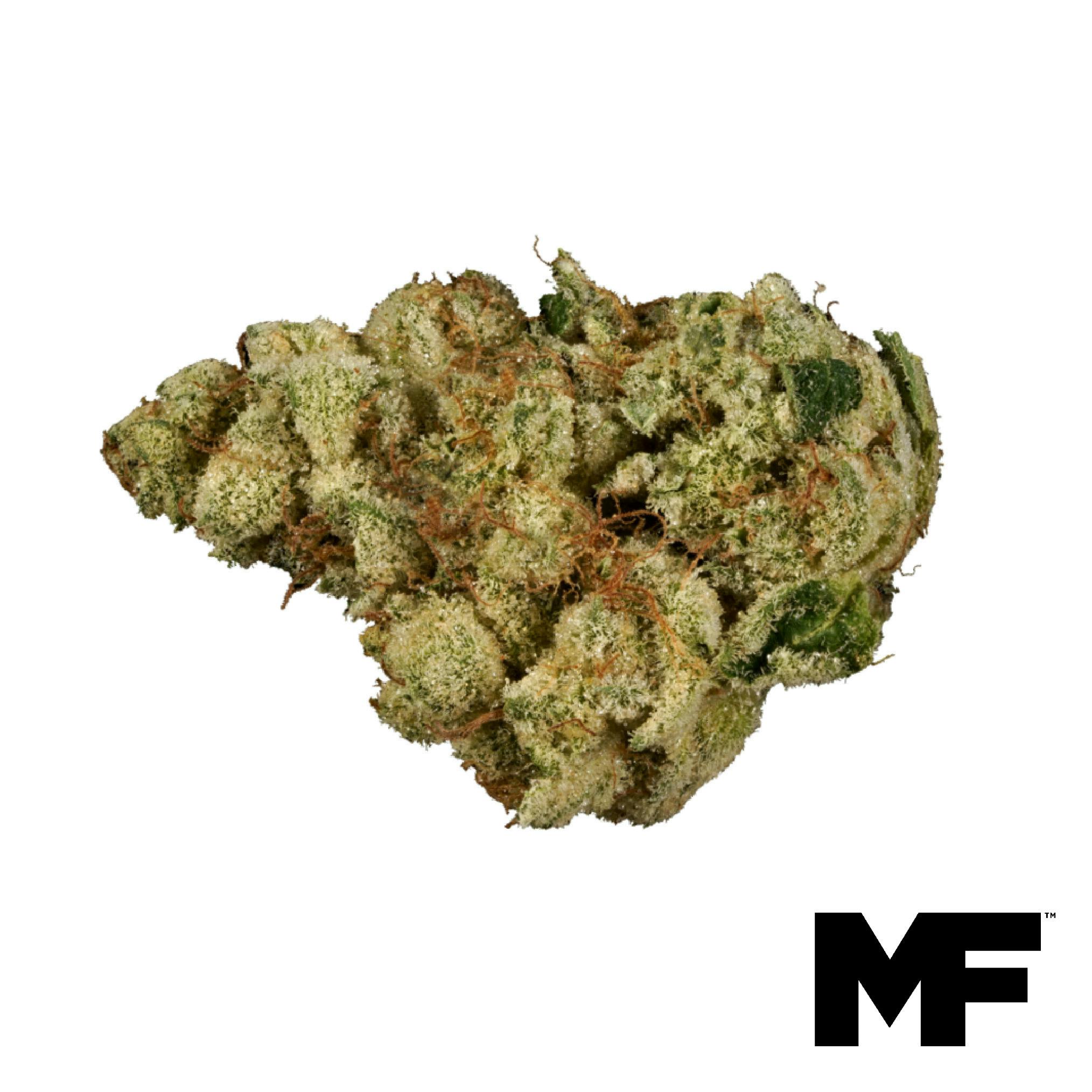 Clementine Delight Flower
