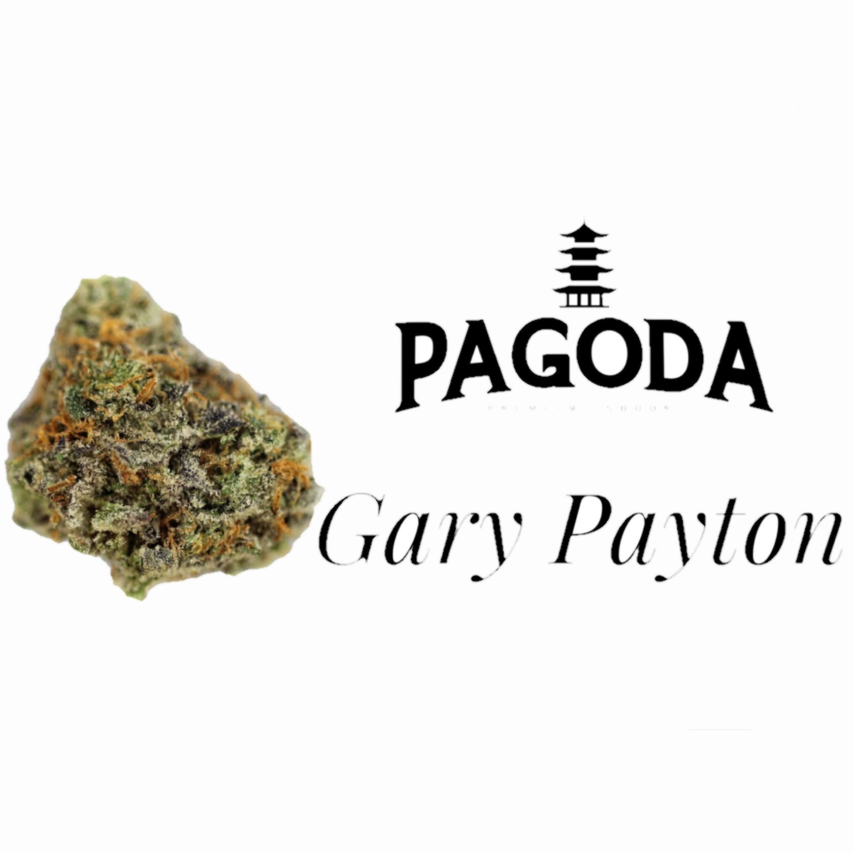 Gary Payton at A Greener Today Marijuana - Shoreline