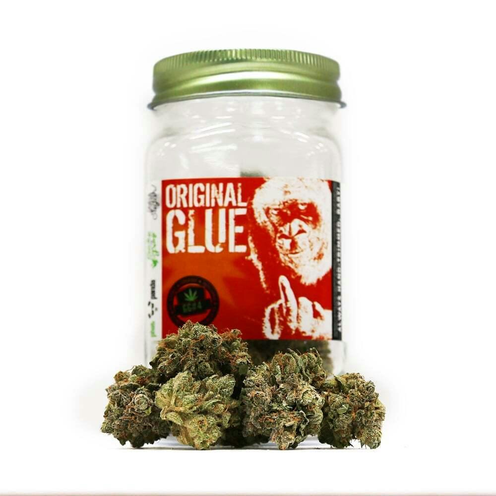 Original Glue (GG#4) | Phat Panda - Platinum Flower